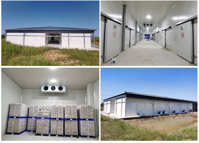 冷庫設計安裝中的關鍵要點和技巧有哪些？